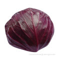 Fresh Purple Cabbage, Natural Pure Purple, Good Taste